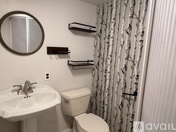 A bathroom with a white toilet, sink, and a birch tree shower curtain.