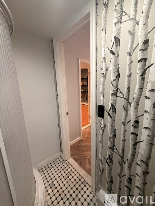 A hallway with a birch tree patterned curtain.