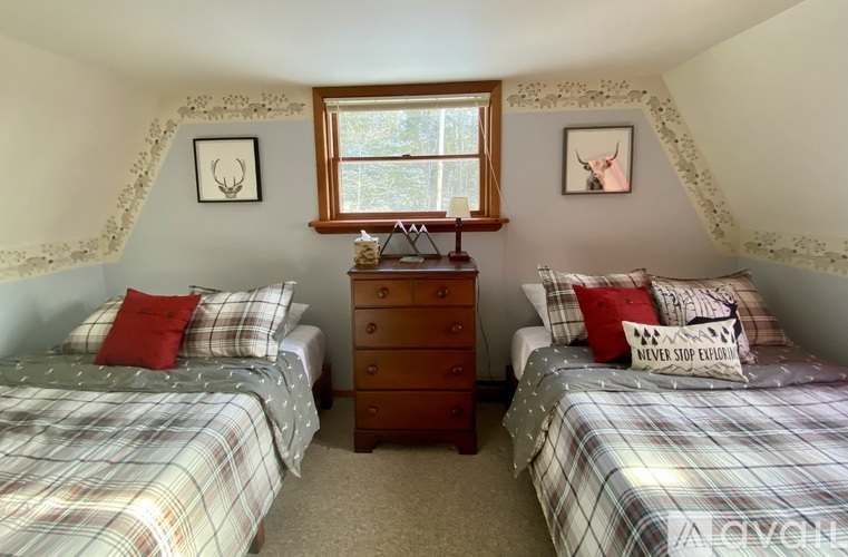 A bedroom with two beds and a dresser.