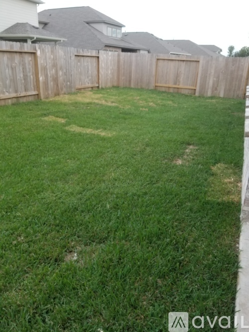 A backyard with a wooden fence and a green lawn.