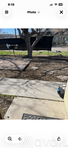 A tree in a yard with a black tarp covering something.