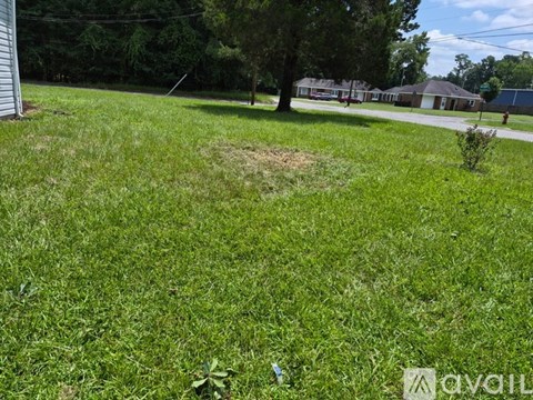 A grassy area with a tree and a house in the background.