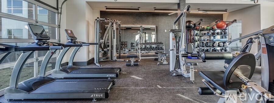 A well-equipped gym with treadmills, weights, and exercise machines.