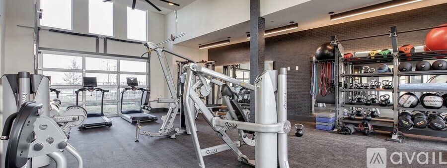 A gym with a variety of equipment including treadmills, weights, and exercise machines.