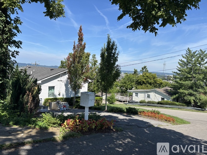 253 35th Avenue North 2 Beds Single Family Home for Rent - Photo gallery 2