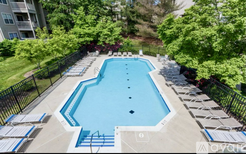 A large outdoor swimming pool surrounded by trees and a fence.