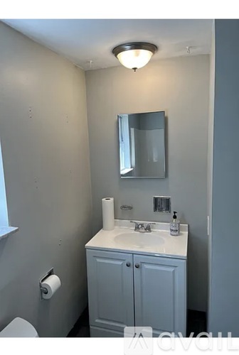 A bathroom with a sink, mirror, and toilet paper roll.