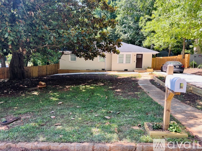 A tree in a yard with a mailbox in front.
