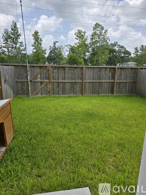 A backyard with a wooden fence and green grass.