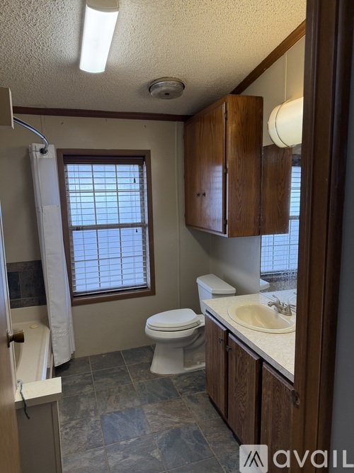 A bathroom with a toilet, sink, and a window.