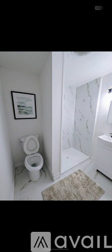 A bathroom with a toilet, a rug and a picture on the wall.