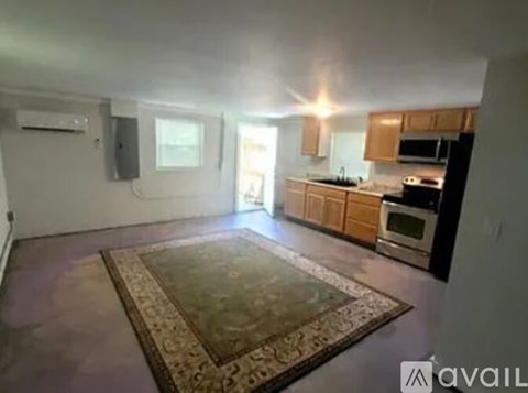 A living room with a rug on the floor and a kitchen area in the background.