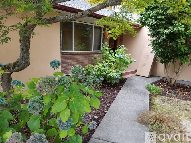 A garden with a variety of plants and a concrete pathway leading to a house.