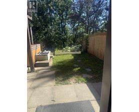 A backyard with a wooden fence and a small garden.