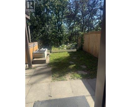 A backyard with a wooden fence and a small garden.
