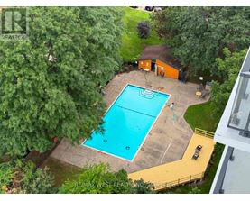 A pool surrounded by trees and a building in the background.