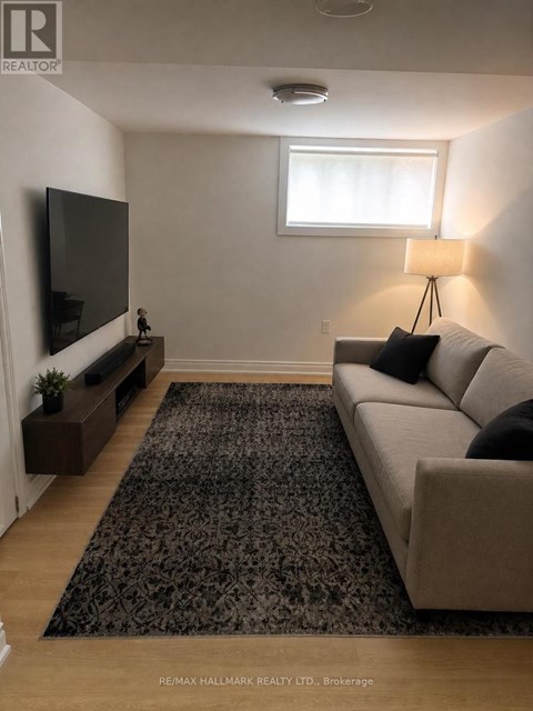 A living room with a couch, a television, and a rug.