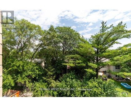 A tree-filled backyard with a house and pool.