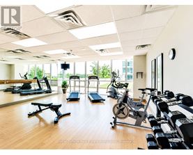 A gym with treadmills, exercise bikes, and weights.