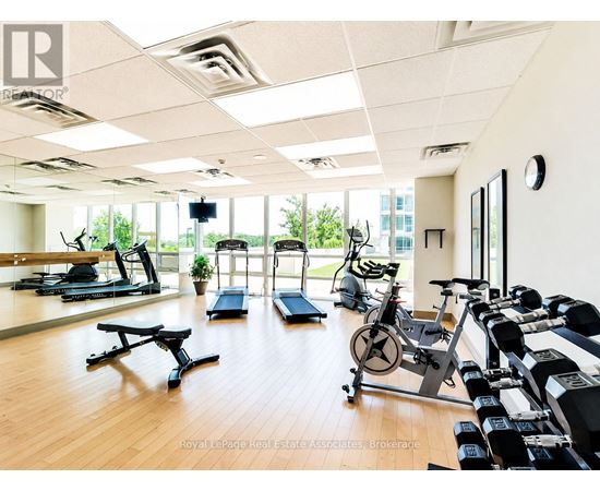 A gym with treadmills, exercise bikes, and weights.