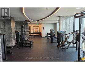 A gym with a variety of equipment including treadmills, weights, and exercise machines.