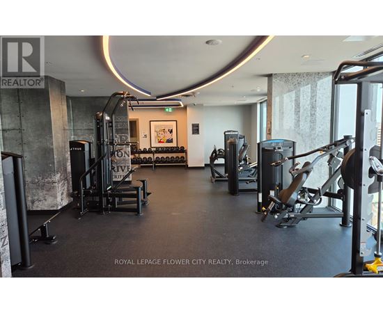 A gym with a variety of equipment including treadmills, weights, and exercise machines.