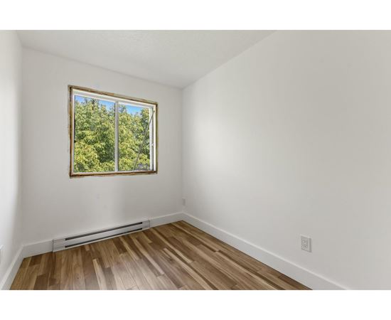 A room with a window showing trees outside.