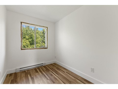 A room with a window showing trees outside.