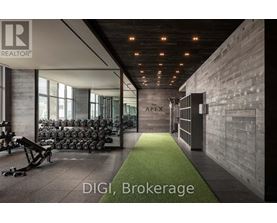 A gym with weights and a green carpet.