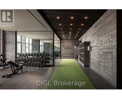 A gym with weights and a green carpet.