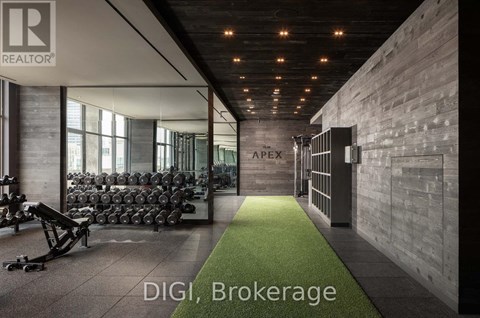 A gym with weights and a green carpet.