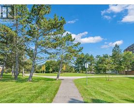 A pathway in a park with trees on both sides.