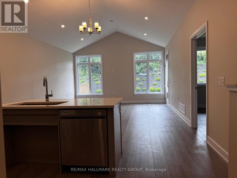 A kitchen with a dishwasher and a sink.