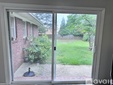 A view from a window looking out to a backyard.