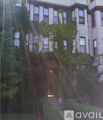 A building with a brown door is covered in green vines.