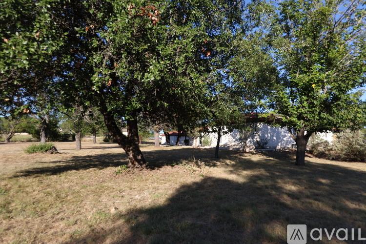 3251 Arbolado Calzada Rd 3 Beds Single Family Home for Rent - Photo gallery 4
