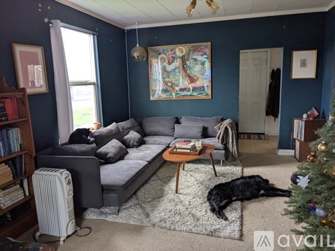 A dog is lying on a rug in a living room with a grey couch and a Christmas tree.