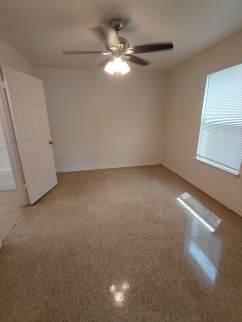 A room with a ceiling fan and carpeted floor.