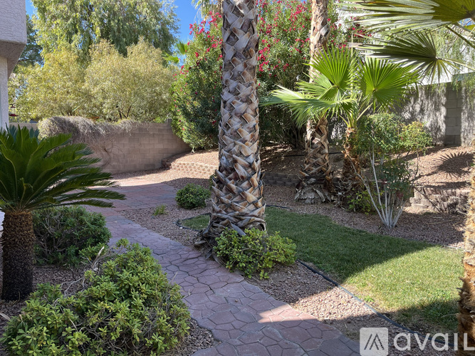 A garden with a pathway, palm trees, and bushes.