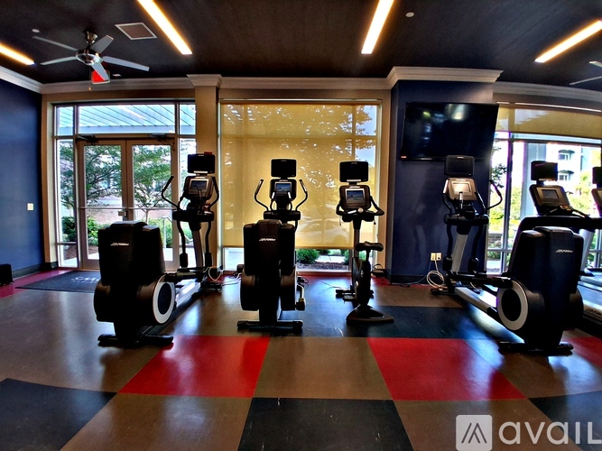 A gym with a row of treadmills.