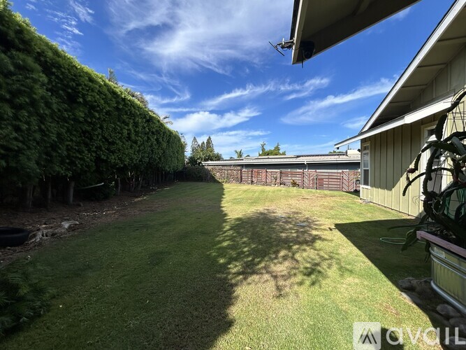 A backyard with a green lawn and a hedge.