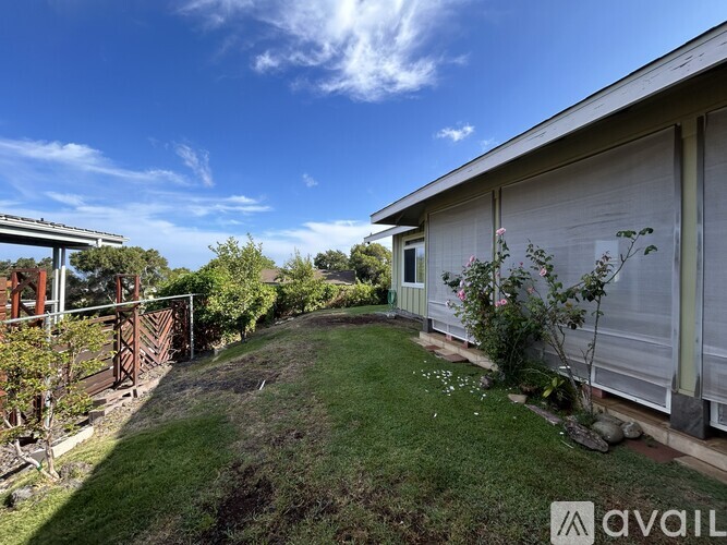 A backyard with a shed and a small garden.