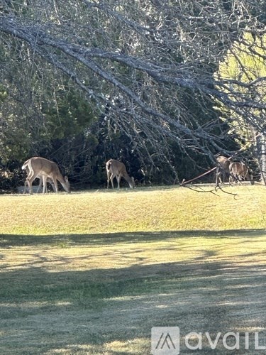 Source URL: https://prod-avail.s3.amazonaws.com/public_images/43135826/listing/DEER_Picture.jpg