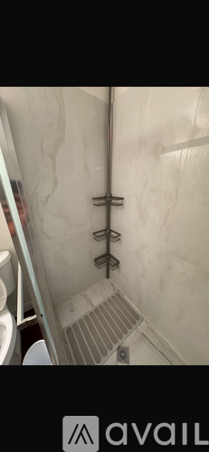 A bathroom with a shower and a toilet.