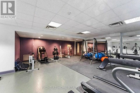 A gym with a variety of equipment including weights and a treadmill.