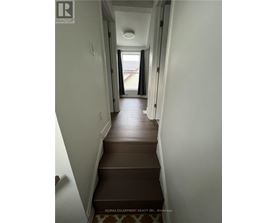 A hallway with a brown carpeted staircase.