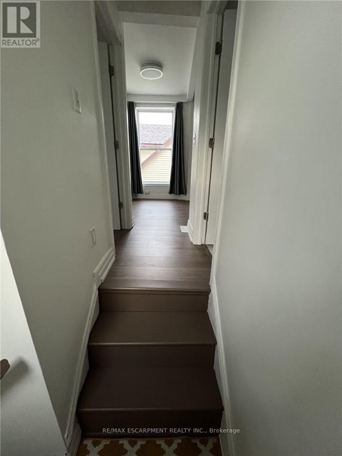 A hallway with a brown carpeted staircase.