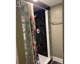 A bathroom with a shower curtain and a glass door.