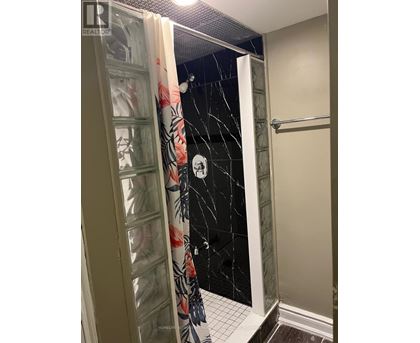 A bathroom with a shower curtain and a glass door.