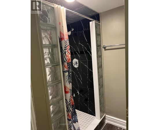 A bathroom with a shower curtain and a glass door.